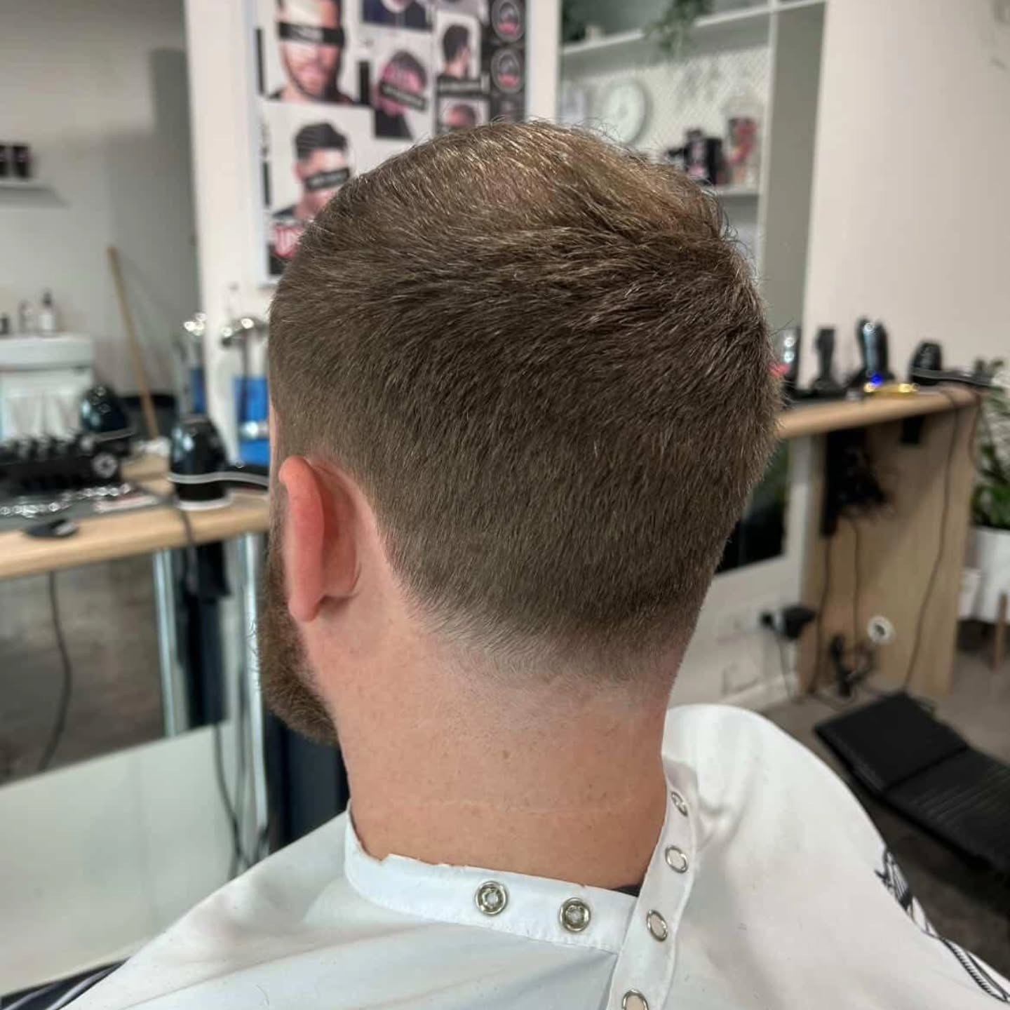 Tapered short back and sides, back view
